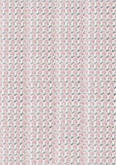 ããã®ããð ðŸð