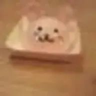 johnusagiさんのアイコン画像