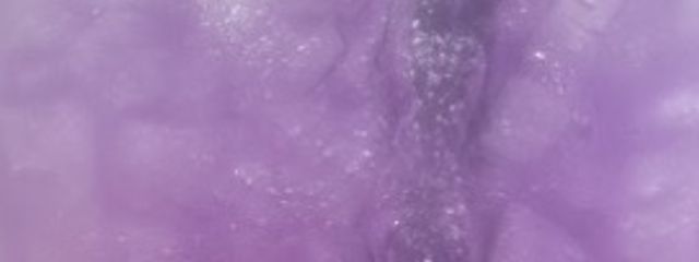 ねこさんの壁紙画像