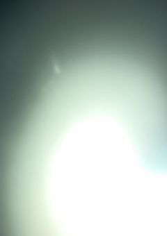 恋愛リアリティショー