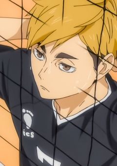 　双子は1組で十分