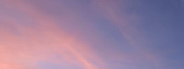 黒田  ྀིさんの壁紙画像