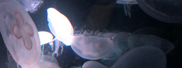 mmoonさんの壁紙画像