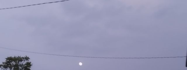 チェリー🍒♥さんの壁紙画像