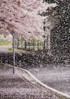 愛のない世界へと。