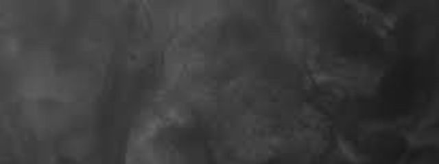 り お ん .さんの壁紙画像