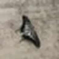 マリンさんのアイコン画像