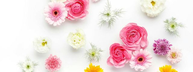きゃんでぃー🍬🍭さんの壁紙画像