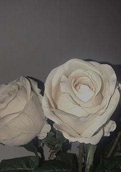 何気ない日常を君と。