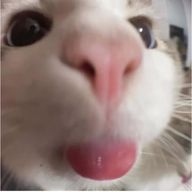 ゆいさんのアイコン画像