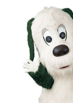 ワンワン教(狂)、雄英高校普通科です！！！