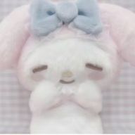 ぽちょさんのアイコン画像
