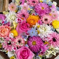 サラ250rさんのアイコン画像