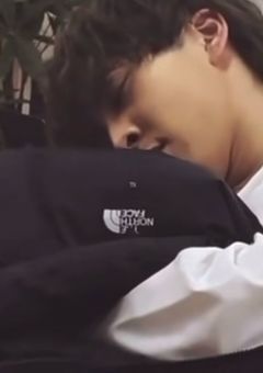 猫かわいがりするのは君だけ