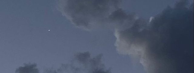 ツバキさんの壁紙画像