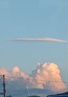 一つの花と一つの体