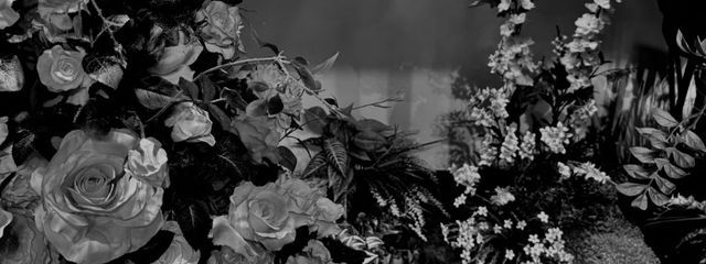 ☁︎さんの壁紙画像