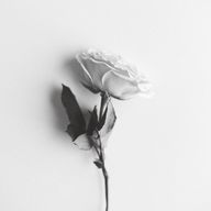 Queen*00さんのアイコン画像