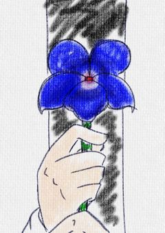 青いスミレの花