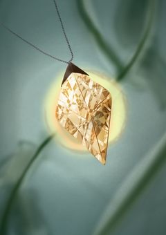 ヒルガオが咲く頃には