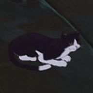 世莉斗🚀🐤🍵☕　めっちゃバグってウケださんのアイコン画像