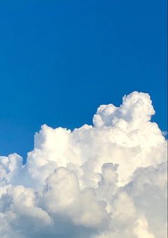 ジャニーズと永遠に…（短編小説＆参加型小説）