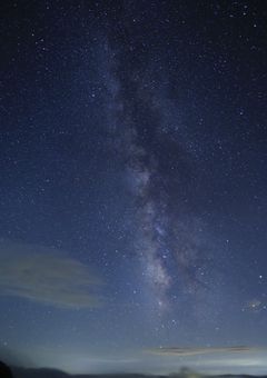 どうか嫌わないで……