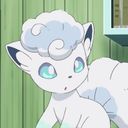 ロコン