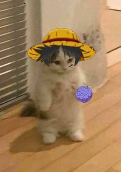 訳あり女子は海賊に愛されてます。🏴‍☠