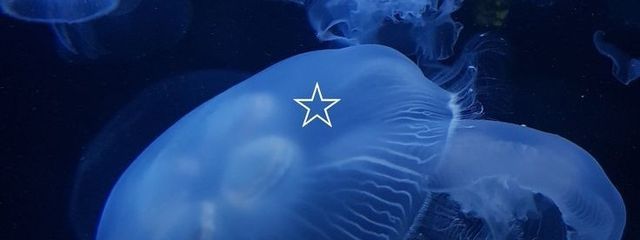 ℛ𝒾𝓊🥀🎧さんの壁紙画像