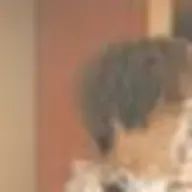 kuon🌹SexyZoneさんのアイコン画像