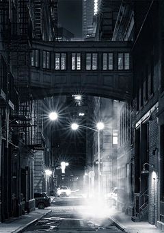 Cider Defeat【・ら・】