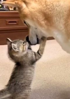 MINWON short stories 
