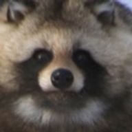 ネッコさんのアイコン画像