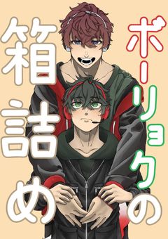 ﾎﾞｰﾘｮｸの箱詰め