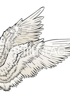 冨岡　義勇＆あなた＿＿＿＿＿＿＿＿＿＿＿＿ドラドの悲劇＿＿＿＿＿＿＿＿＿＿＿＿