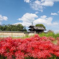 絢斗さんのアイコン画像