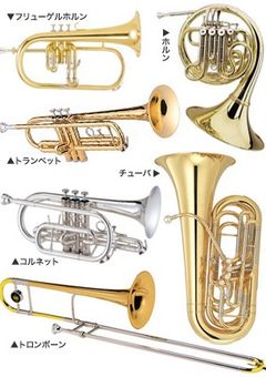 金管メンバーズ