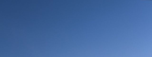 紅茶さんの壁紙画像