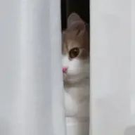 いえーいさんのアイコン画像