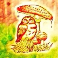 ニィールさんのアイコン画像