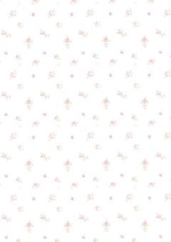 ㅤ𝑷𝒆𝒂𝒄𝒉 𝑹𝒐𝒔𝒆ㅤ