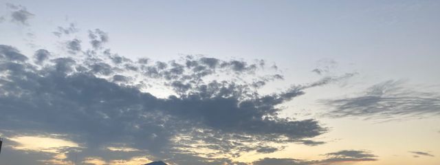 (●︎´▽︎`●︎)ちゃんさんの壁紙画像