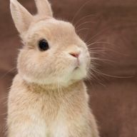 真島さんのアイコン画像