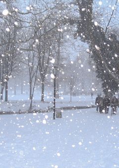 Heavenly White