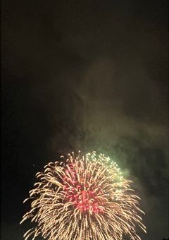 その人の代わりは居ないんですか。