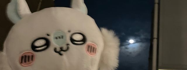 アイスの実🍦 ♡さんの壁紙画像