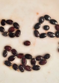 お知らせがあったら更新するかもしれない場所