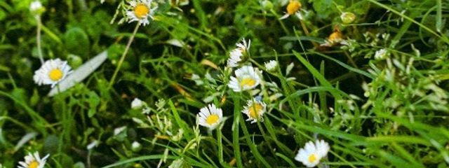 ViViさんの壁紙画像