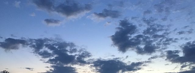 メメントリ最推しです!*桜来未知さんの壁紙画像